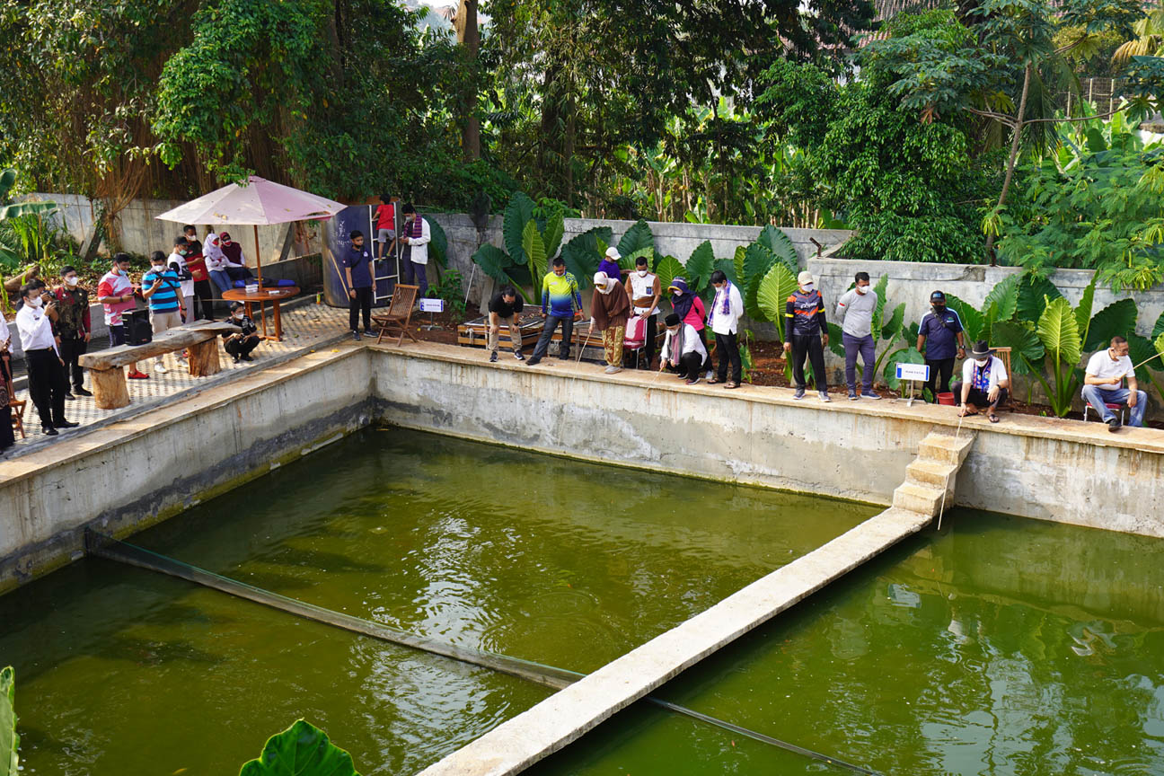 KOLAM IKAN